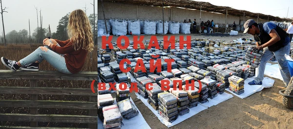 соль курить ск Алзамай