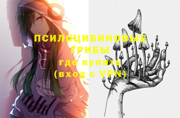 соль курить ск Алзамай